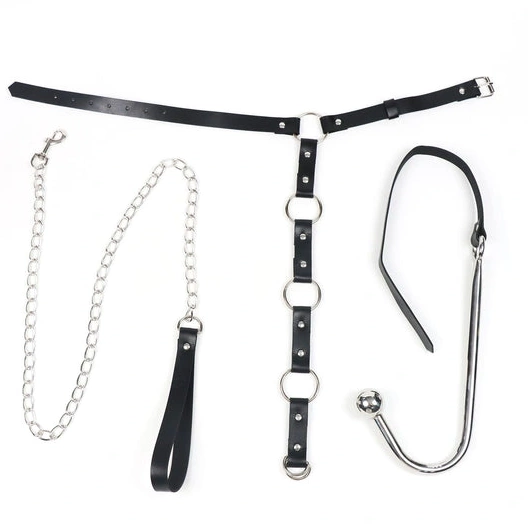 Anal Hooks Kinky Hook Leash and with EverydayUse 5853 Anal Collar 0816